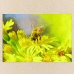 ce70fcd8-6989-45b1-b903-5e2284bc9794