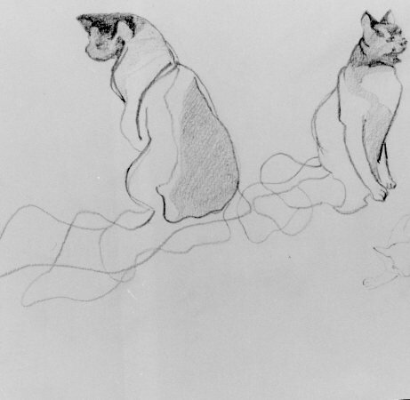 f86bcef2-2d00-4aa5-8ed9-56088a6cfe7b