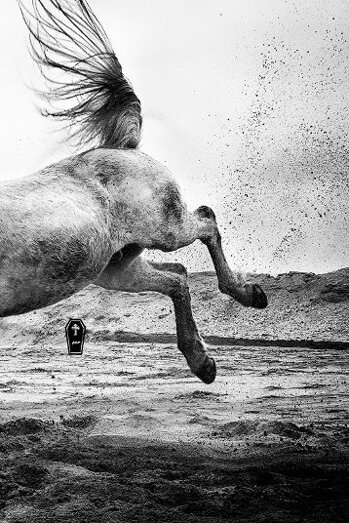 6b0cc947-4238-43c5-ba0f-bfba4f231c04