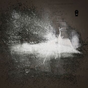 7c9acf9f-4895-4630-8b6a-70a2e1727981