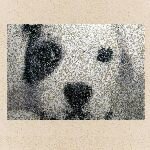 b9b361c6-f921-42f5-9e5f-ee983249a922