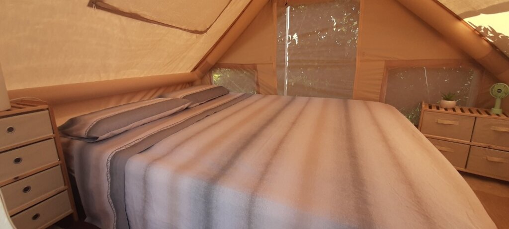 fda53e58-877b-4494-a18e-ad59cd994547