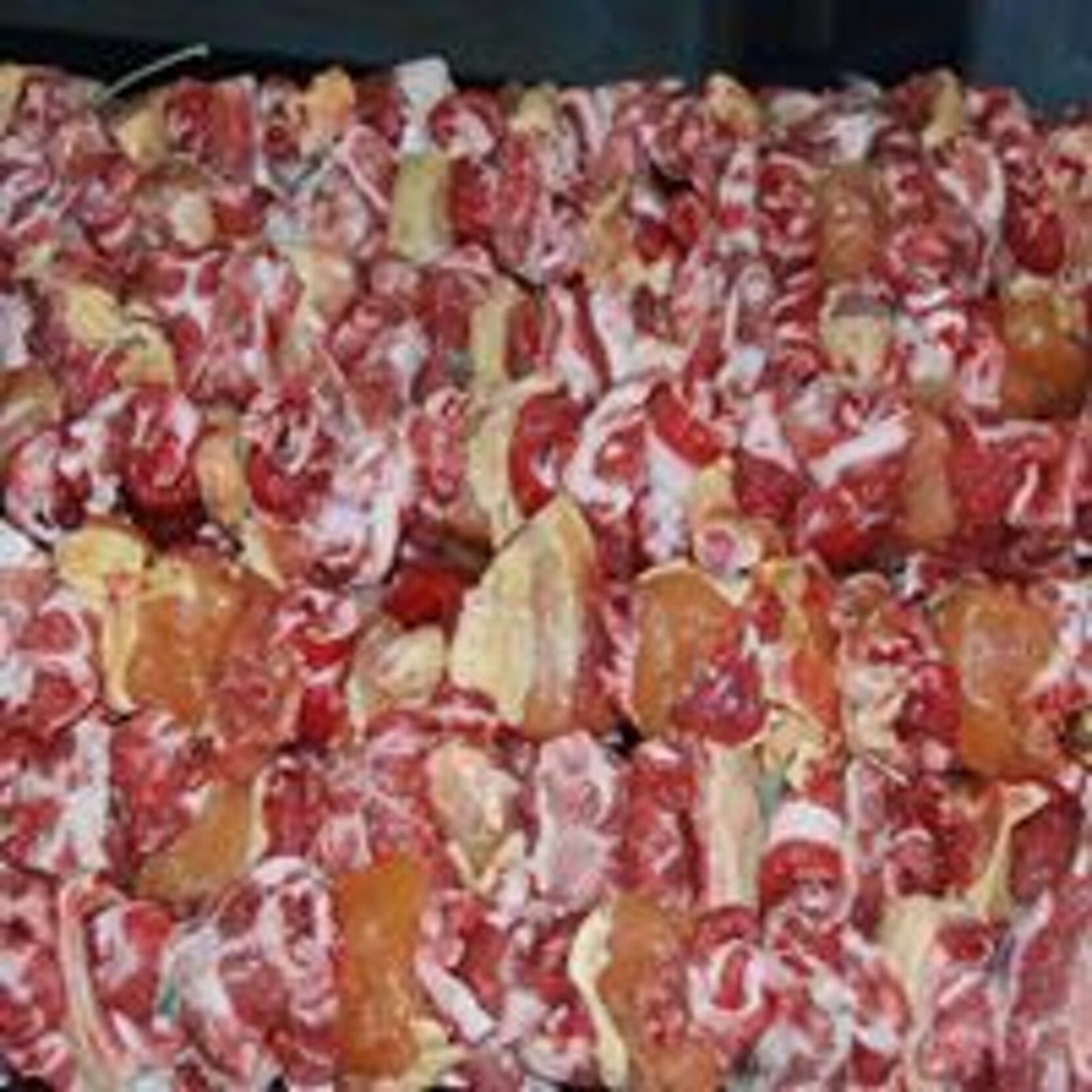 f2d87014-4e6e-4ca2-89fb-0ee79fc6fef5