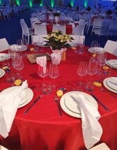 cb3c2ae1-e1cf-46e7-9984-0216904c4a46