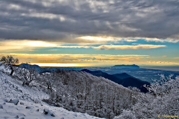 6c9c3e0f-7120-42a2-b44c-f713b59edc58