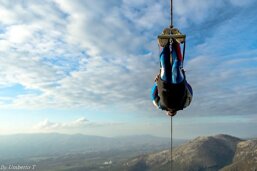 d11a878a-37e2-46ff-b769-52c0efed2a3f