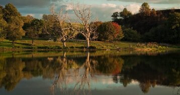 9fcb3cb6-1500-47c8-b31b-b7de6d1c1c5e