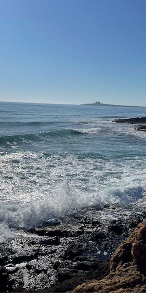 mare 