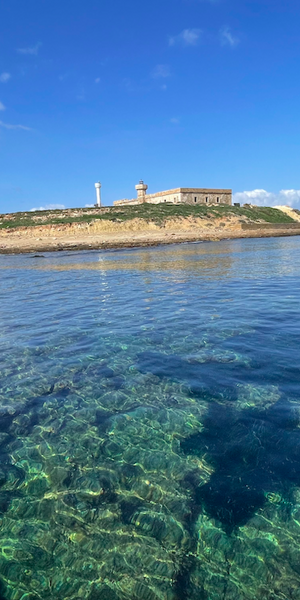 Isola delle correnti vista dal sup