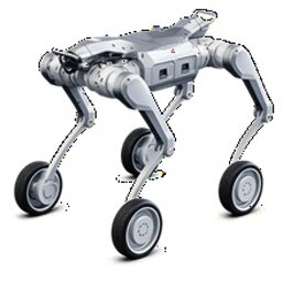 quadrupeds.jpeg