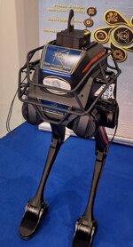 scout1