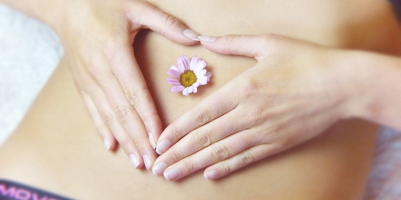 46fa2dd7-4fdb-4cd0-86ce-c82b6a58e366