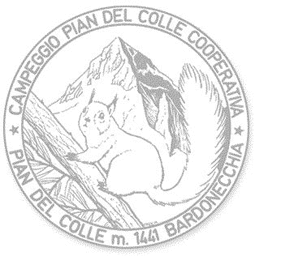 657b882e-df9e-4383-8029-785e8b1ab2a6