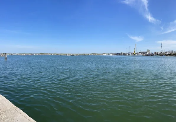 mare goro adriaticlams ac porto italia