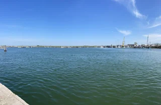 granchio blue crab adriaticlams ac italia 2.jpeg