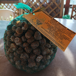 chiocciole-helix-aspersa-muller