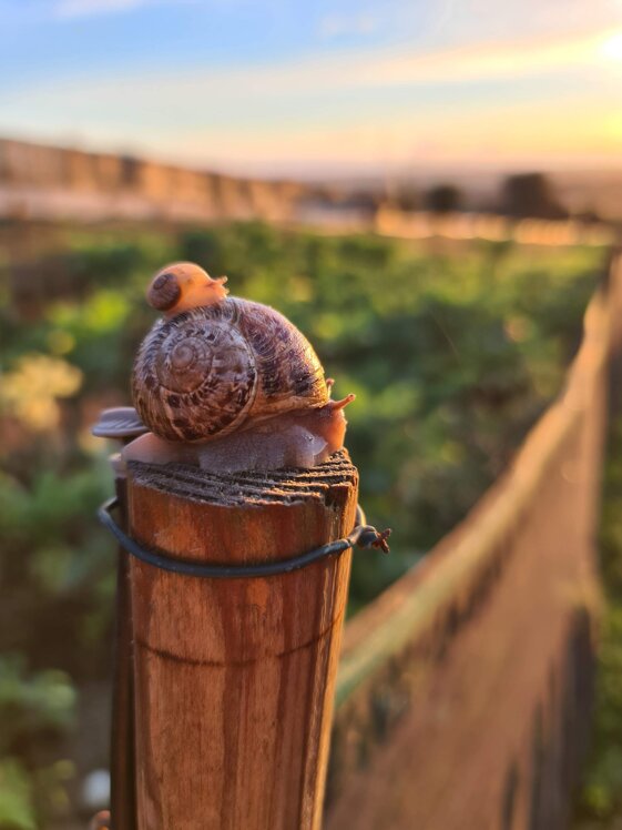 28291626-882d-448e-9dd0-dd3c27185d4b