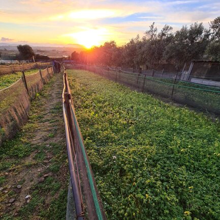 Box Zoom dei Box dell'azienda