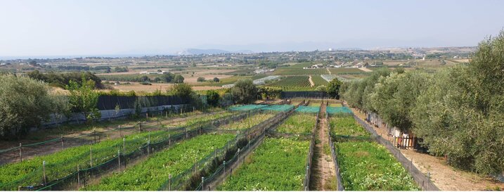 a892cc90-9639-4ec8-a308-41046f4e5ebe