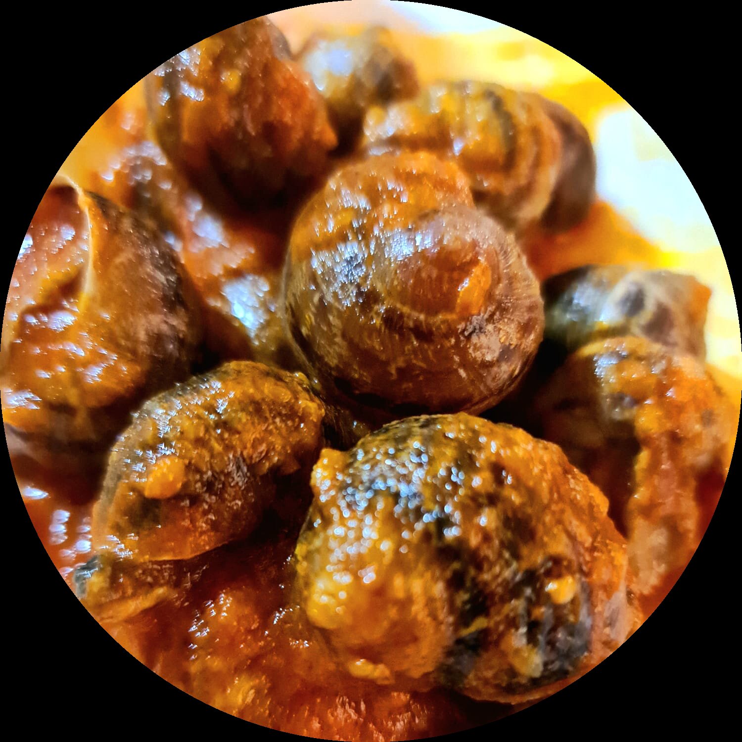 Ricettario ChiocciolHelix