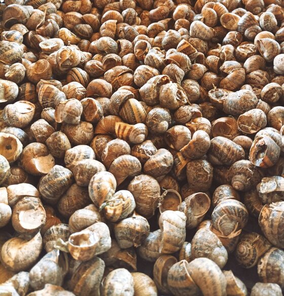 73416c5b-3af5-4c17-b70c-335a7d06221b