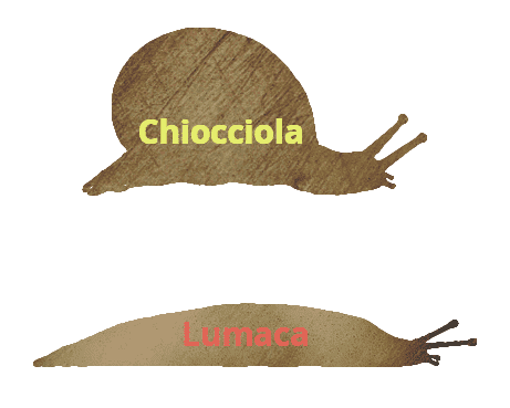 7931e327-dffa-4861-bb2f-b3975f475d1a