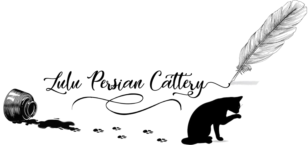 250db0c9-6132-4a13-83b5-c15e18eedb3c