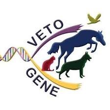 255855f5-ee31-40b2-8ce9-4b91c200a063