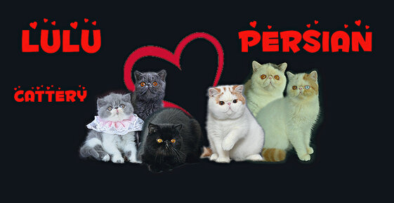 f9afcc8f-1648-4555-98f4-5c46a3831214