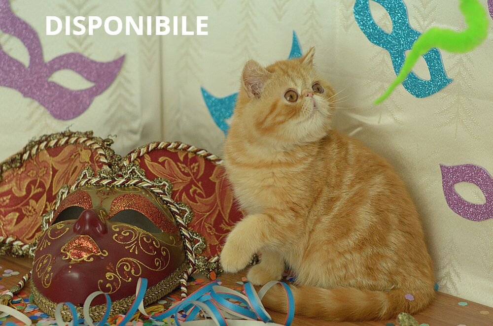 0bcd0bdb-f8df-4e51-9583-cd93c2022188