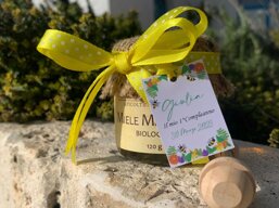 b5c1fca0-3cee-47d5-9d80-f7e179cc86eb