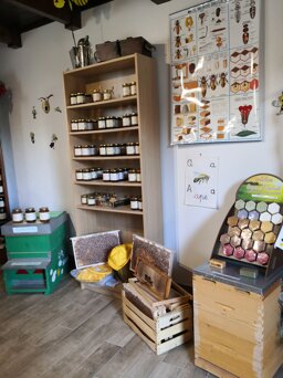 edc7f92d-6692-4b0e-a985-7470847fa479