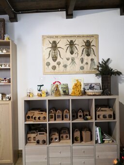 c97805c2-b2d0-4e6b-b74f-ad547dbf2e10