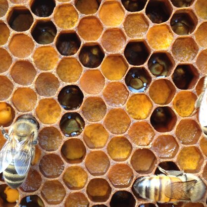 72580522-13e9-494f-a64c-5ea4aa6a2342