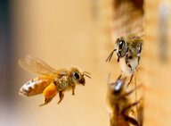 87df3974-e610-4e71-b469-27291d42d525