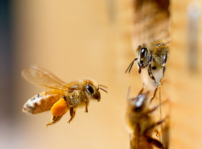 87df3974-e610-4e71-b469-27291d42d525