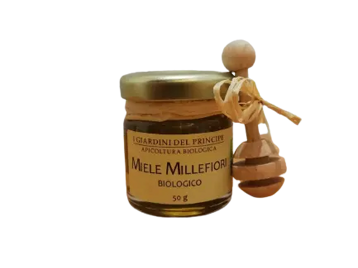 65e6c6d0-f94f-4f8e-aca5-70c9793dd0aa