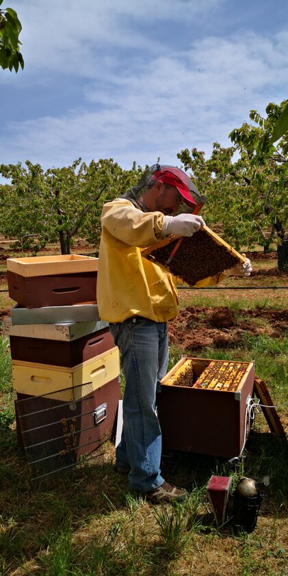 afafc535-8a85-4663-a9ca-e0108e313b6e