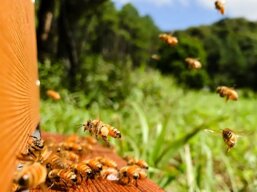 11a019fe-df42-4cac-a7f6-b182af4067c1