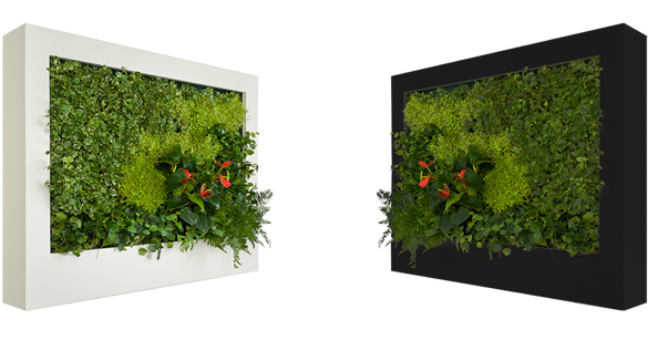 145e75e8-5381-4f17-ae3d-59ae7cc2f2ea