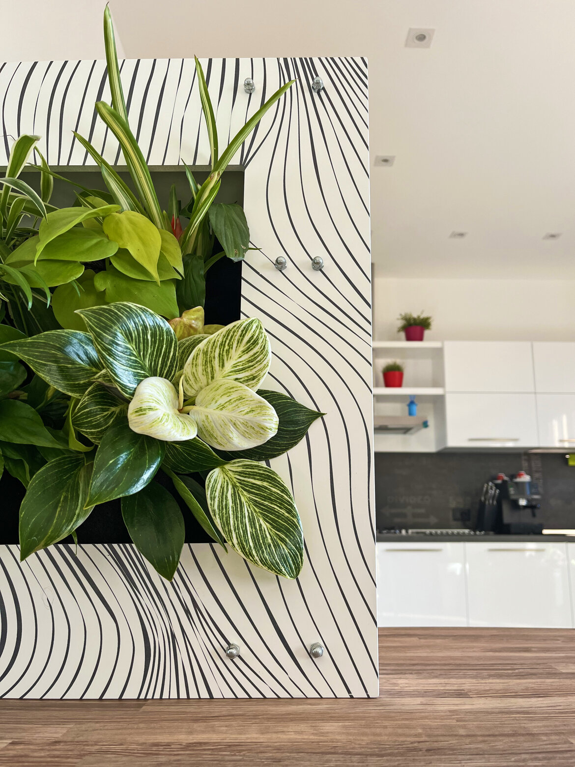 12981e93-1d5b-4700-b81f-c39124d76643