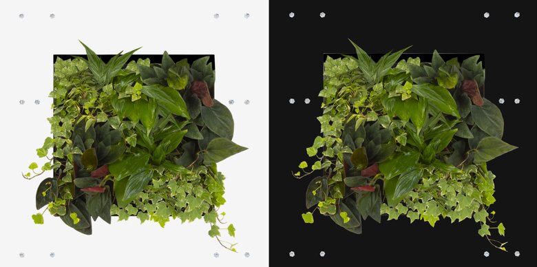 bdc2089a-b004-4db1-aeda-67924c4f2586