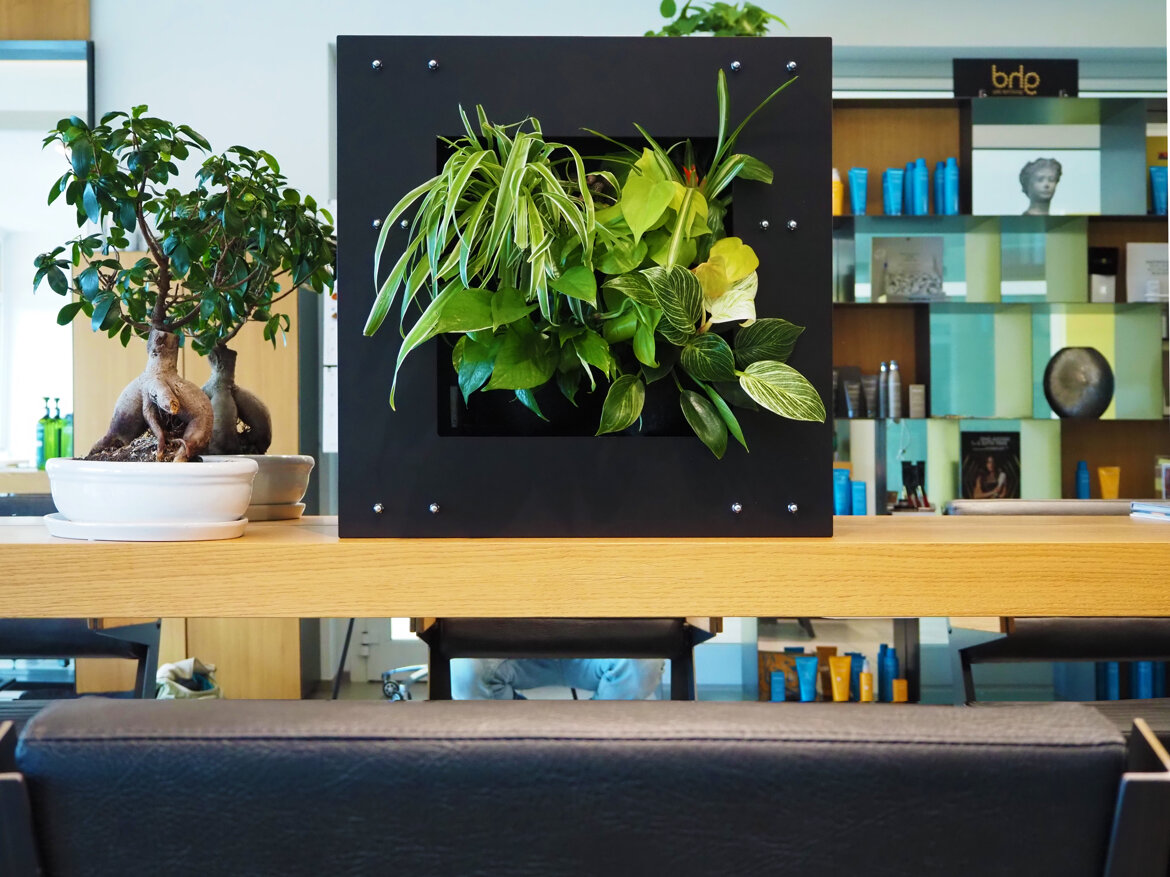 fee11c66-8d43-4c22-98cc-f5f9085615f3