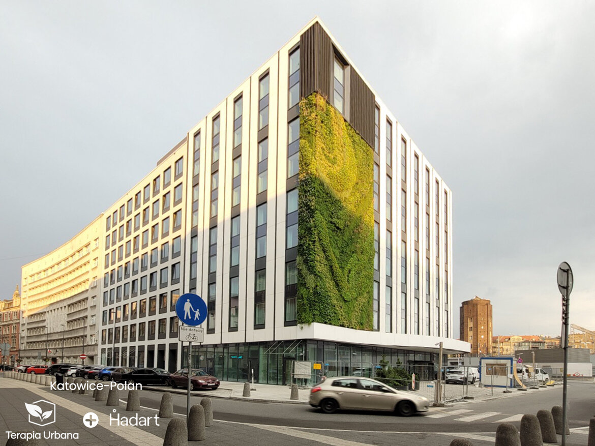 969021b6-edc2-4e50-9a78-c72f29cea3a5