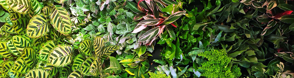 935b0ba4-133c-415e-9639-db7309677cd9