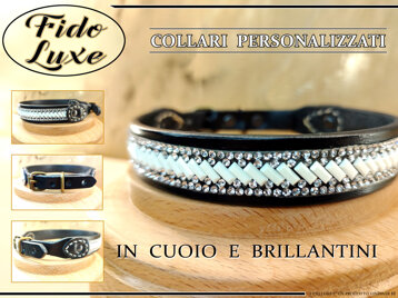 19d5d0e8-9ae0-4d6d-814f-1d418c035cc9