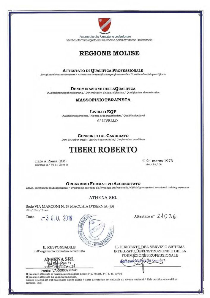 diploma mft_pagina_1.jpeg diploma mft_pagina_1.jpeg