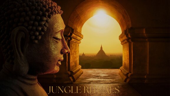 d64fb53f-b4c5-4dae-8af9-ce0964e671f7