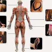 Taping Neurosensoriale Taping per trattamenti post traumatici di contenimento e drenanti