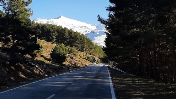 feea15ba-8a3b-4225-b161-db1f127aeee9